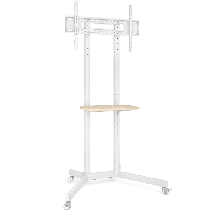 MT2008 - Image 4
